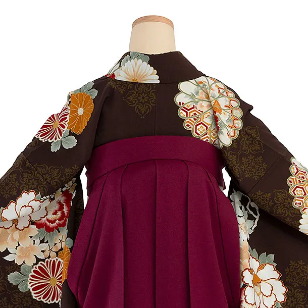 卒業式女性袴 1279 Kansai／茶色 牡丹菊／ボルドー袴