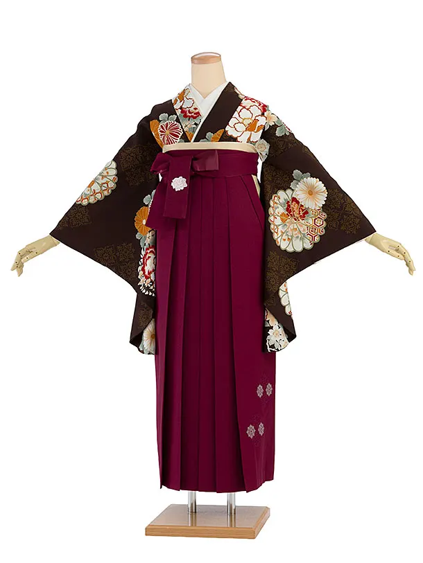 卒業式女性袴 1280 Kansai／茶色 牡丹菊／ボルドー袴