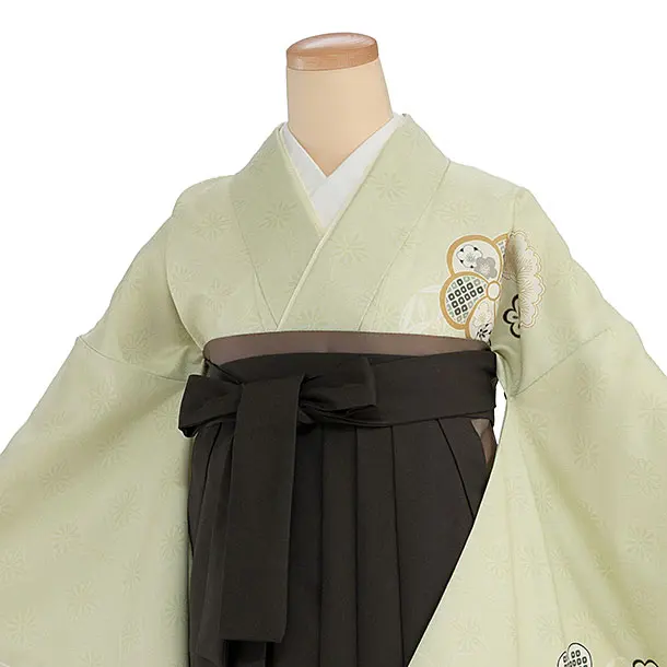 先生,教員向け袴レンタル 1456 薄黄緑 梅七宝／チャコール袴