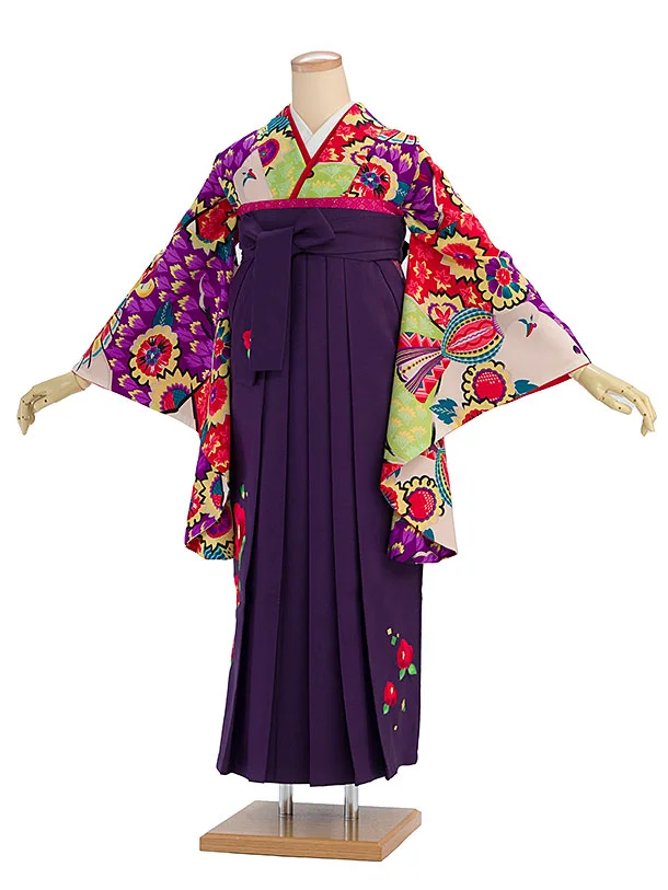 卒業式女性袴 E112 カラフル 鳩／紫袴
