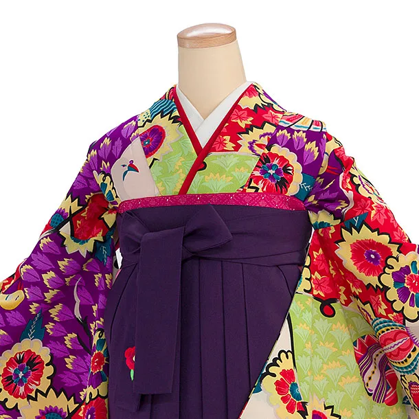 卒業式女性袴 E112 カラフル 鳩／紫袴