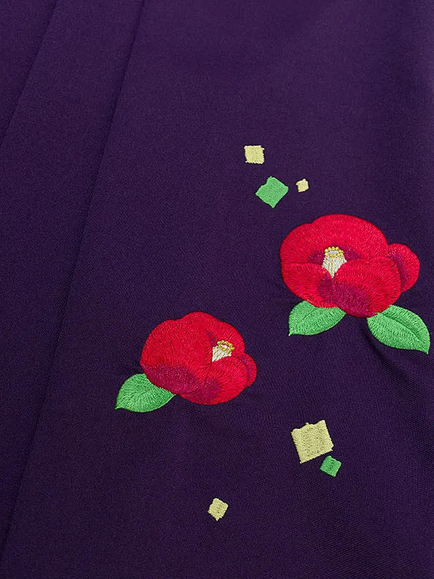 卒業式女性袴 E112 カラフル 鳩／紫袴