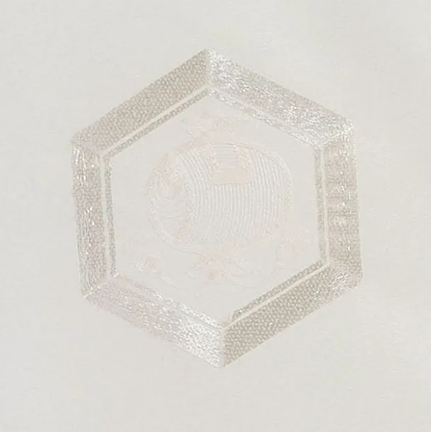 お宮参り(男の子)レンタル  0296 白 兜鷹松刺繍