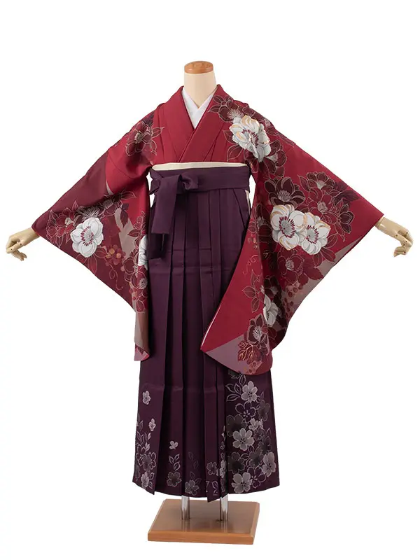 卒業袴レンタル二尺袖 桜田ひより えんじ 椿 2073