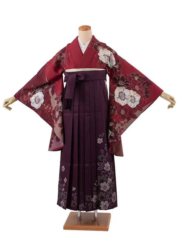 卒業袴レンタル二尺袖 桜田ひより えんじ 椿 2073