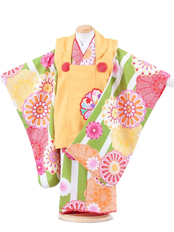 七五三レンタル （3歳女児被布）3680 からし×グリーンストライプ 菊