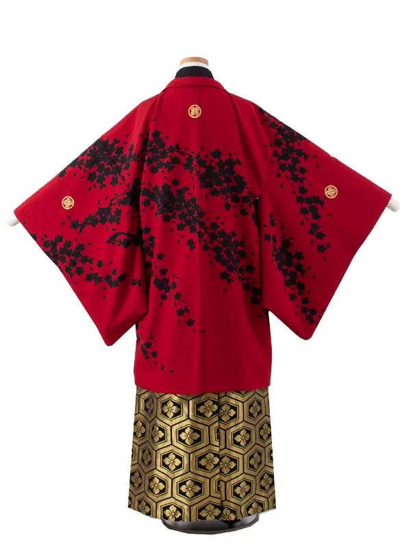 かんたん着付 小学校 卒業式 男の子 袴 赤地 黒桜 1711