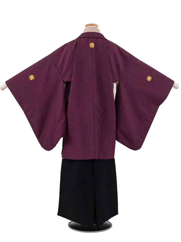 かんたん着付 小学校 卒業式 男の子 袴 紫地 1806