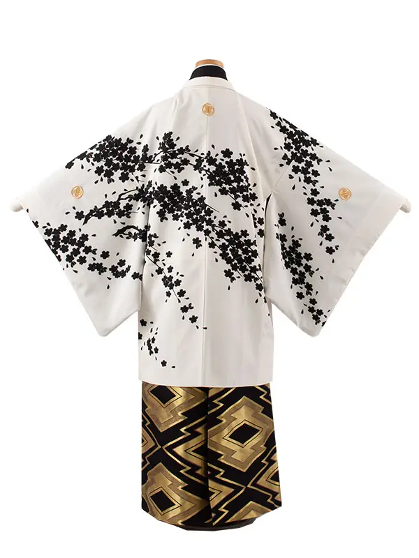 小学校 卒業式 男の子 袴 白地 桜 1878