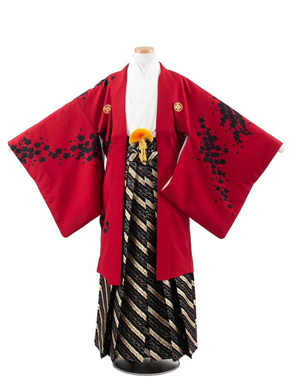 小学校 卒業式 男の子 袴 赤地 黒桜 1927