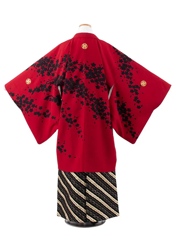 小学校 卒業式 男の子 袴 赤地 黒桜 1927