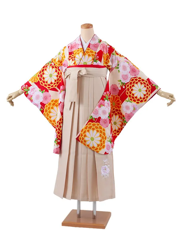 小学生卒業袴レンタル（女の子） アイボリー 矢絣 菊と桜 B014