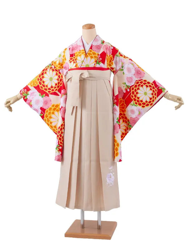 小学生卒業袴レンタル（女の子） アイボリー 矢絣 菊と桜 B014