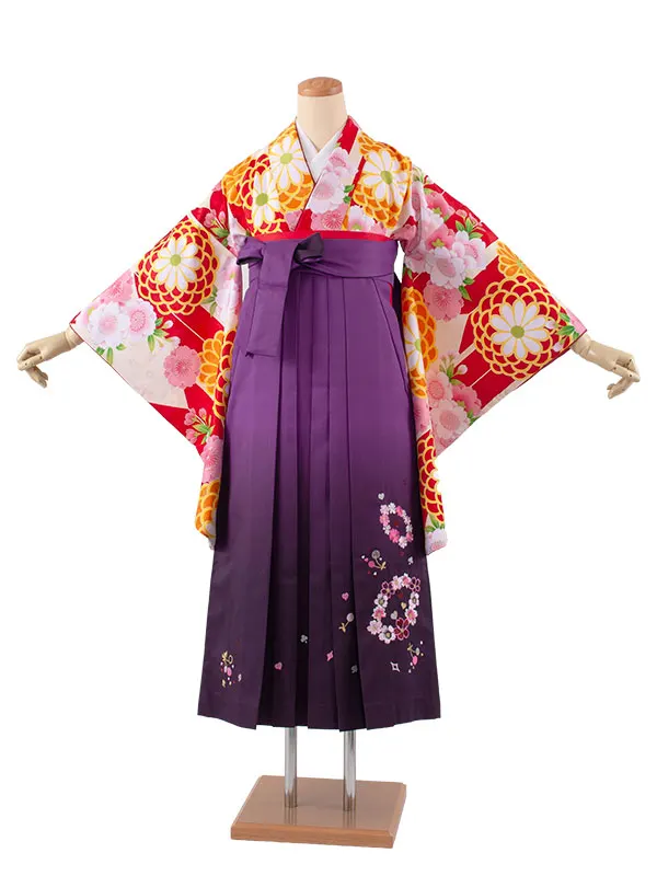 小学生卒業袴レンタル（女の子） アイボリー 矢絣 菊と桜 B020