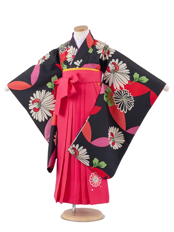 女児袴レンタル（7歳女の子） 黒地 菊 A171