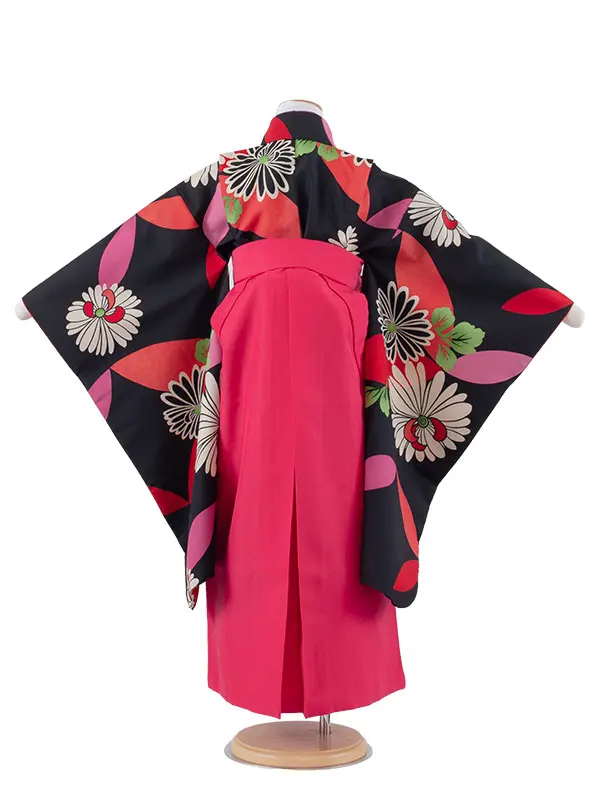 女児袴レンタル（7歳女の子） 黒地 菊 A171