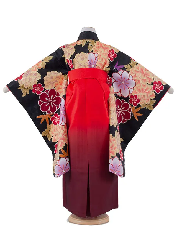 女児袴レンタル（7歳女の子） 黒地 牡丹 グラデーション袴 A172