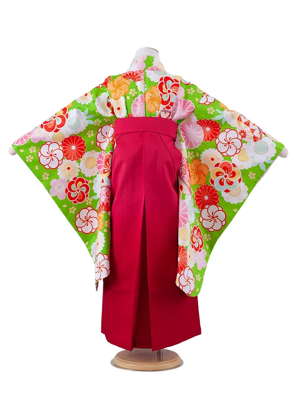 女児袴レンタル（7歳女の子） 黄緑地 ねじり梅 グラデーション袴 A175