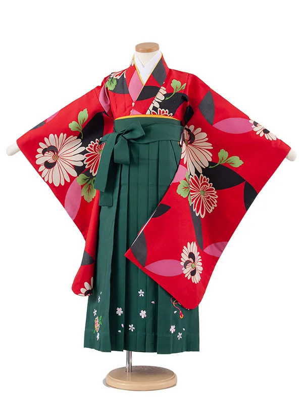 女児袴レンタル（7歳女の子） 赤地 菊 A181