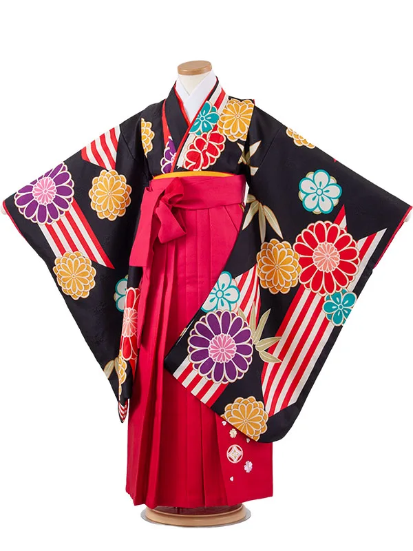 女児袴レンタル（7歳女の子） 黒地 菊 グラデーション袴 A203