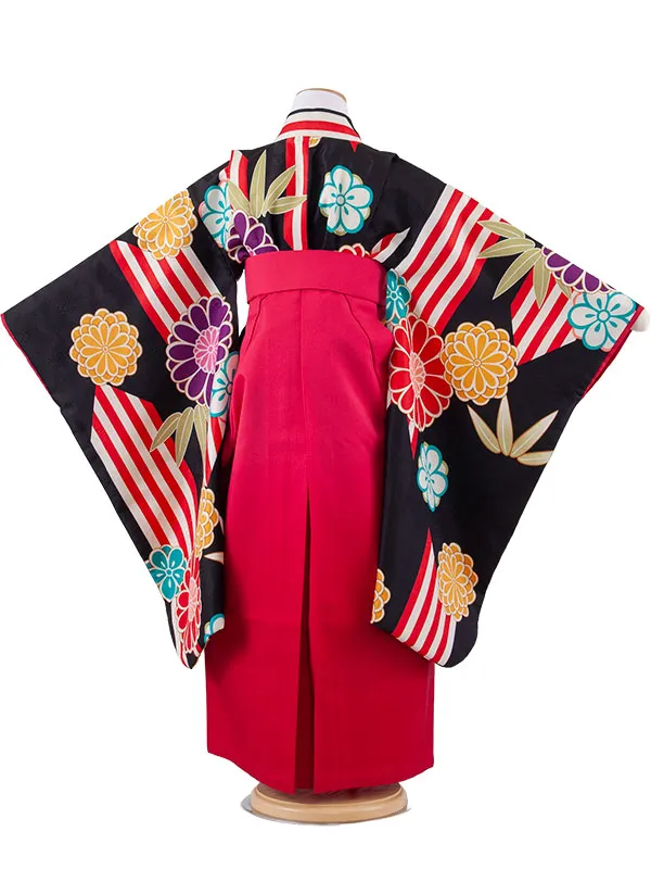 女児袴レンタル（7歳女の子） 黒地 菊 グラデーション袴 A203