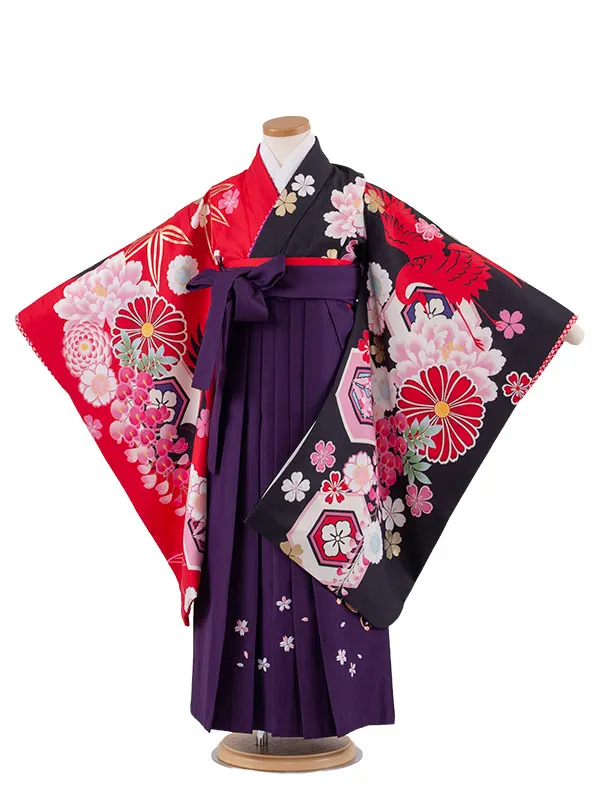 女児袴レンタル（7歳女の子） 赤×黒 片身替り 鶴 菊 A225