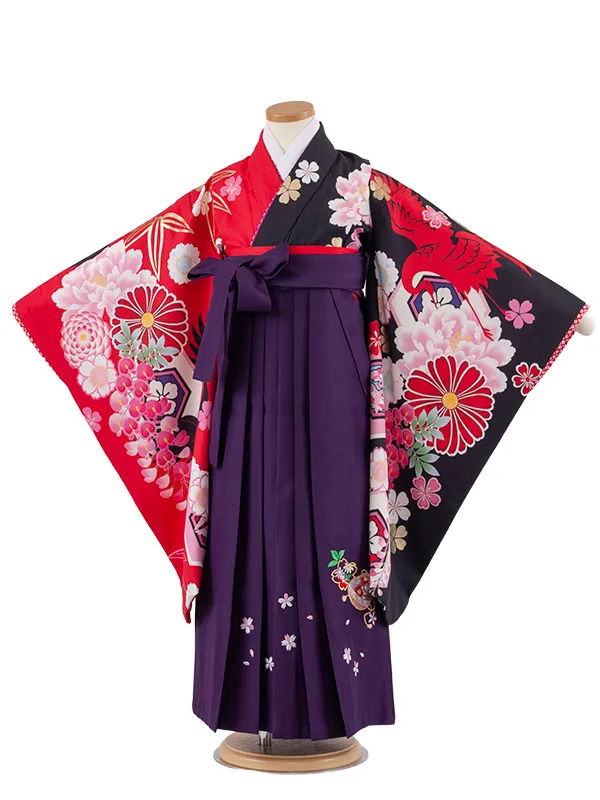 女児袴レンタル（7歳女の子） 赤×黒 片身替り 鶴 菊 A225