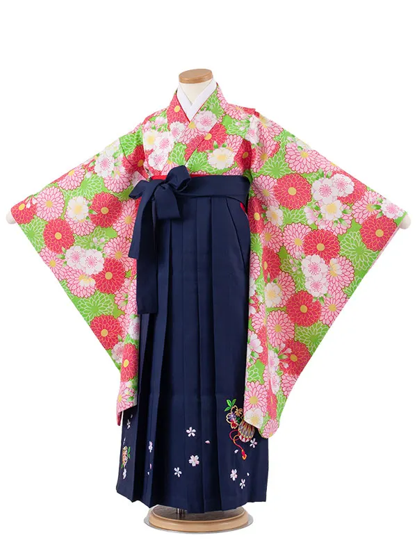 女児袴レンタル（7歳女の子） 黄緑地 桜 菊 A231