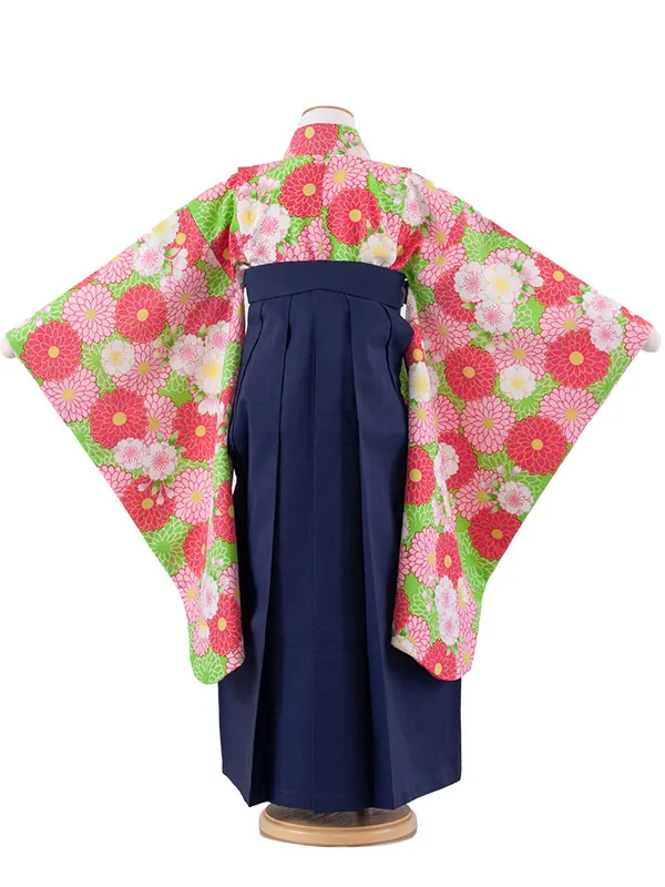 女児袴レンタル（7歳女の子） 黄緑地 桜 菊 A231