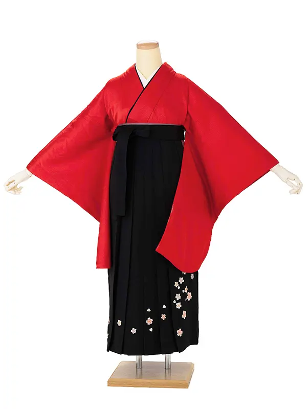 卒業式女性袴 赤/黒刺繍袴 Z991 (66.5)