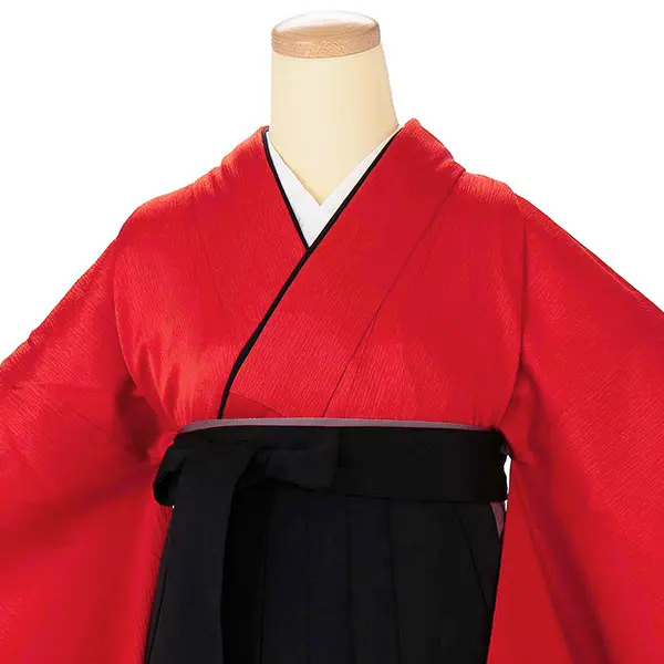 卒業式女性袴 赤/黒刺繍袴 Z991 (66.5)