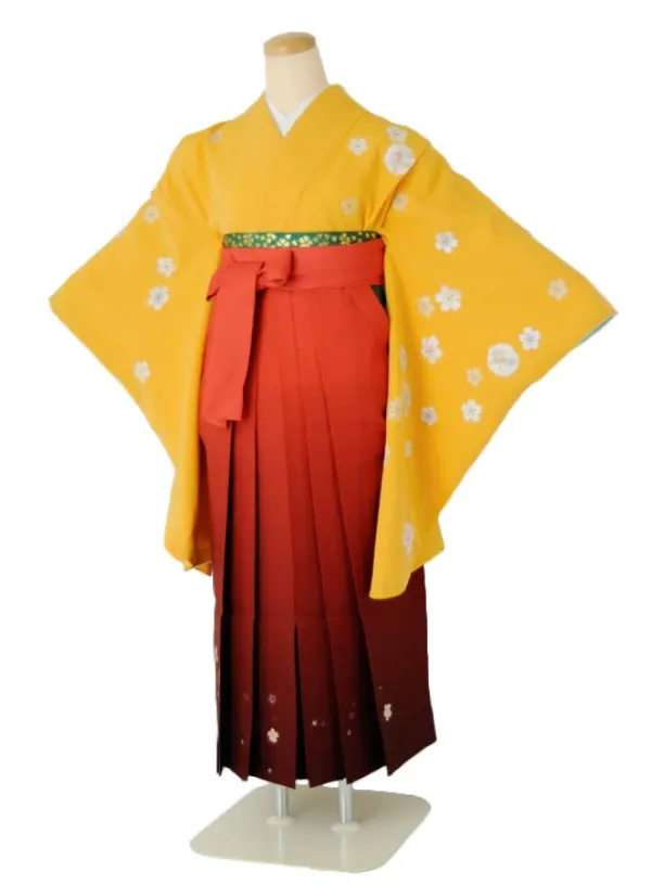 小学生卒業式袴女児c110からし桜花紋×レッド桜