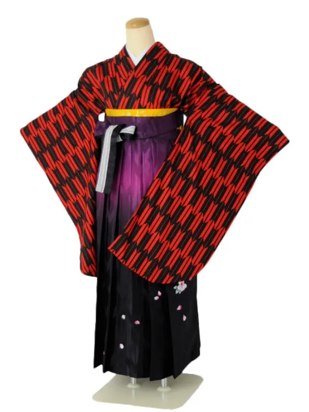 小学生卒業式袴女児 赤矢絣×パープルぼかし矢絣刺繍 N044