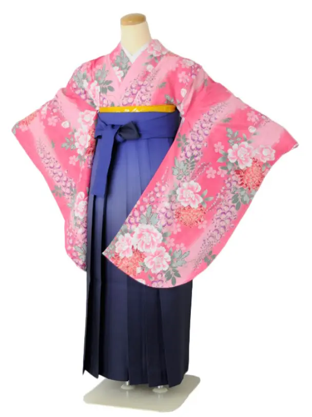 小学生卒業式袴女児 ピンク藤に菊×ブルーぼかし N050