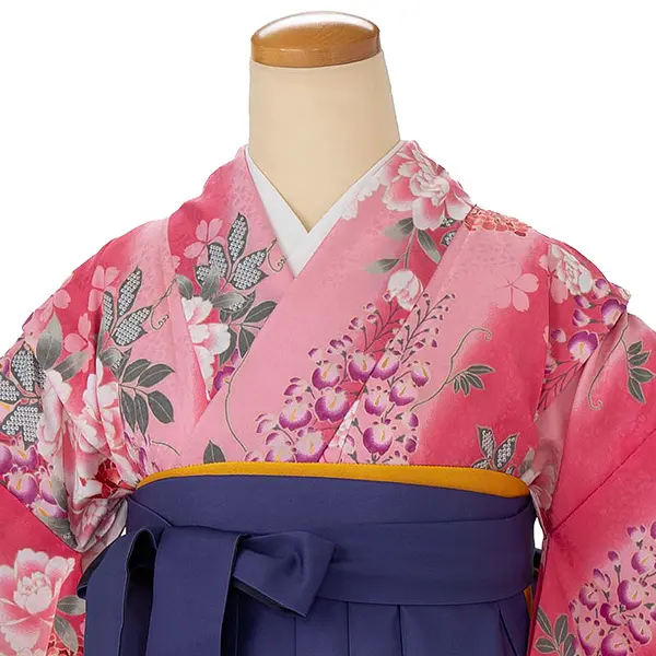 小学生卒業式袴女児 ピンク藤に菊×ブルーぼかし N062