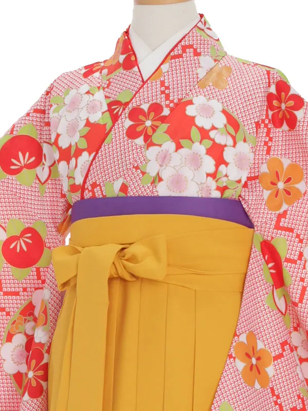 小学生卒業式袴（女の子）Z036