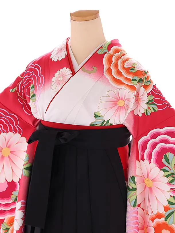 小学生卒業式袴レンタル 赤 菊×黒刺繍袴 Z400