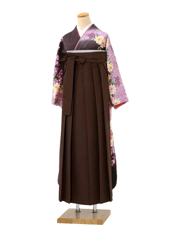 【正絹】卒業式女性袴 振袖袴 紫 桜 菊/茶袴 0204