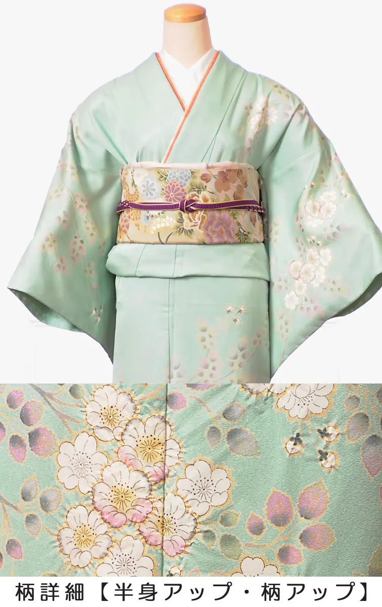 訪問着 ﾚﾝﾀﾙ8AD69