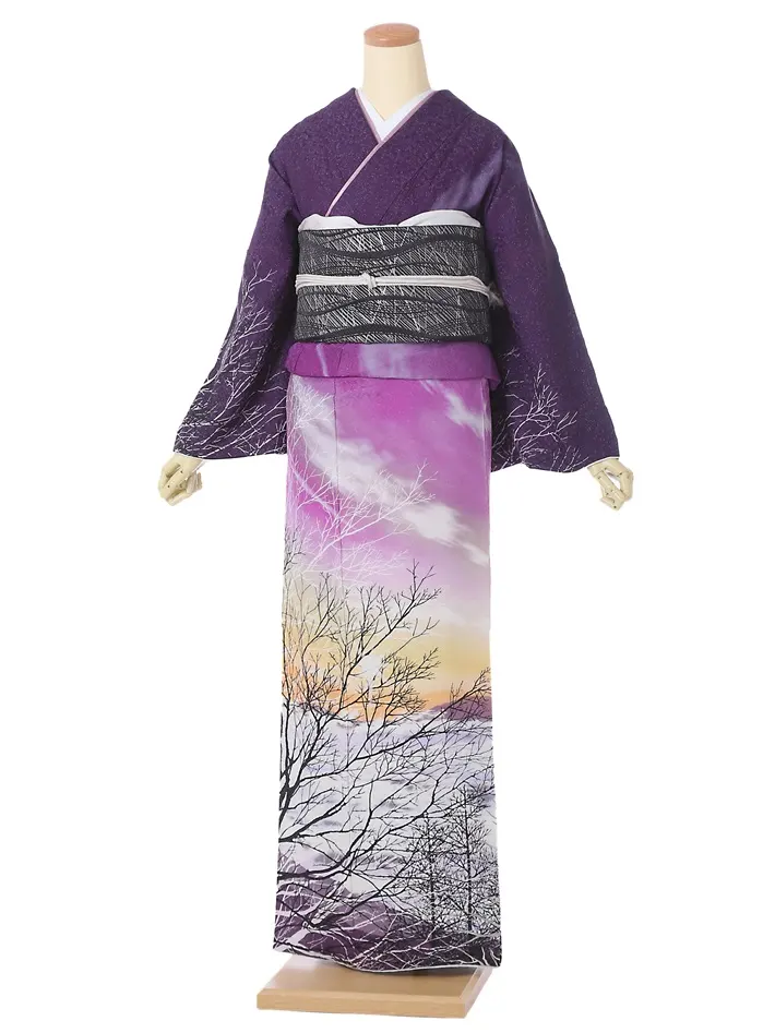 正絹訪問着ﾚ ﾝﾀﾙ 世界文化遺産 あけぼの富士山 8AD686