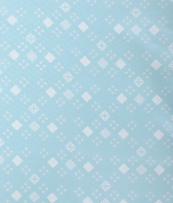 七五三ﾚﾝﾀﾙ 水色 縞袴 (5歳男児) 8AO5149