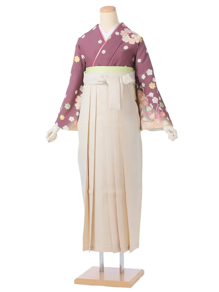 レンタル 先生用袴セット 乙葉(DKH299)