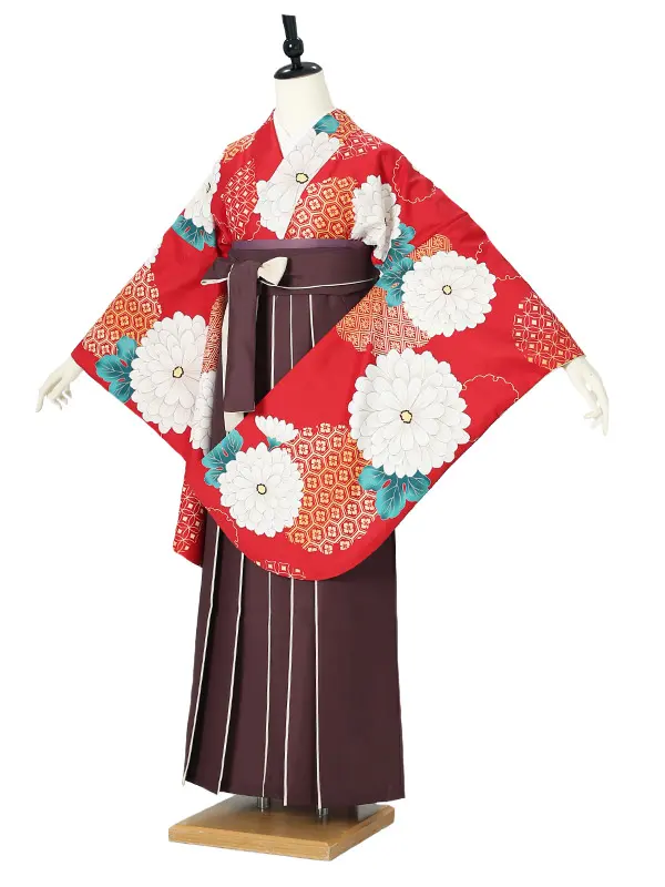 女性袴0189 赤 ブラウン 菊 雪輪
