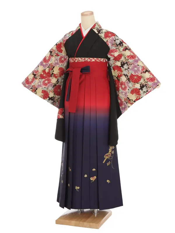 女性袴レンタル0747 黒菊×赤紺