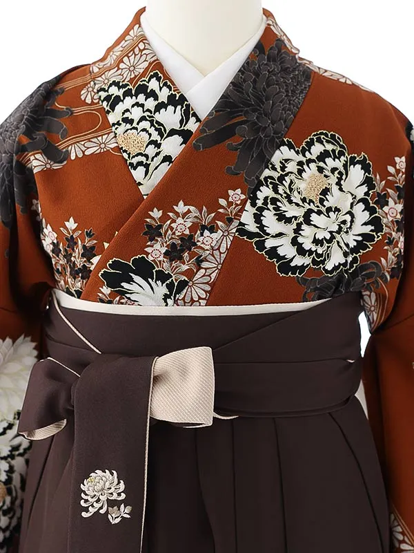 女性袴0778 金茶 黒菊 紅一点