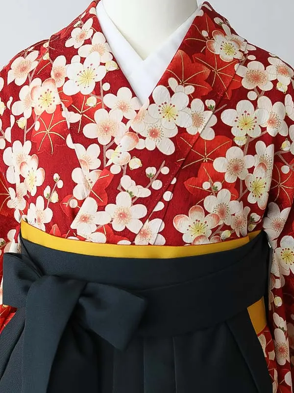 女性袴0795 【振袖袴セット】赤 桜 楓 正絹