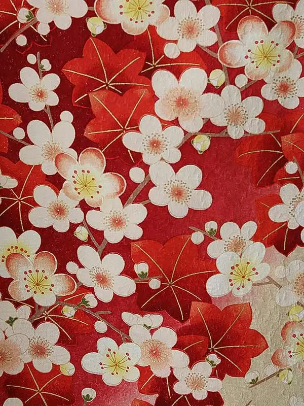 女性袴0795 【振袖袴セット】赤 桜 楓 正絹