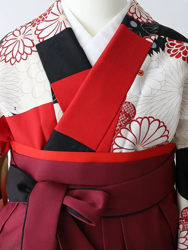 女性袴0801 【振袖袴セット】赤 白 菊 レトロ