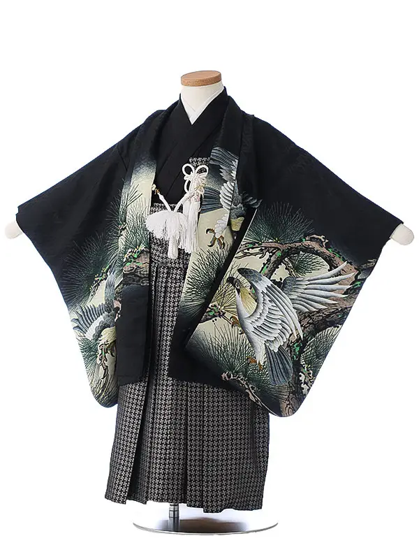 かんたん七五三（3男袴）3267 黒 鷹 松 　