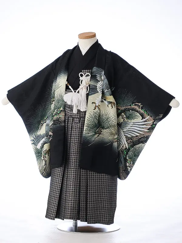 かんたん七五三（3男袴）3267 黒 鷹 松 　